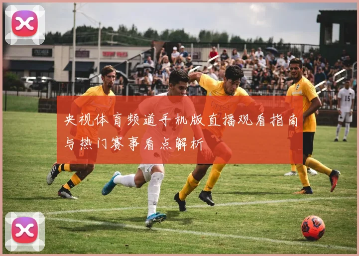 央视体育频道手机版直播观看指南与热门赛事看点解析