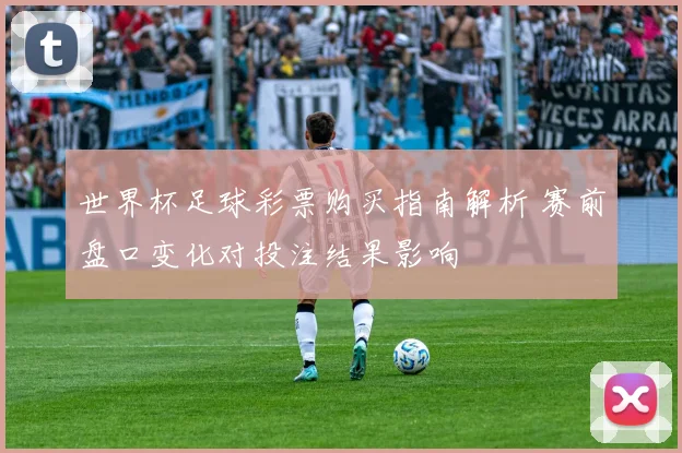 世界杯足球彩票购买指南解析 赛前盘口变化对投注结果影响